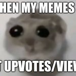 (Not a upvote beggar, I'm just stressed right now with family & wanting to feel a bit better, that's all. I hope yall understand | Me when my memes dont; get upvotes/views: | image tagged in sad hamster | made w/ Imgflip meme maker