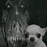Dinosaur behind Chihuahua