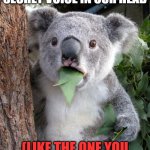 Fun facts | We all have a secret voice in our head; (like the one you are reading this now) | image tagged in memes,surprised koala | made w/ Imgflip meme maker