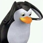 Penguin Headache KACAU