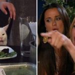 Woman Yelling at Cat Reversed