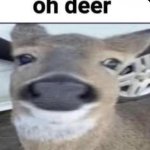 Oh Deer template
