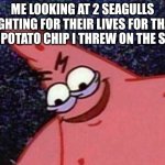 Best thing to do in a beach | Me looking at 2 seagulls fighting for their lives for that one potato chip i threw on the sand | image tagged in patrick looking down,yall try it out,meme,seagulls,idk what else to write | made w/ Imgflip meme maker