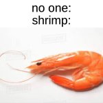 idk why I made this | no one:
shrimp: | image tagged in memes,shrimp,why are you reading the tags,fish | made w/ Imgflip meme maker