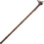wizard staff