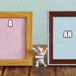 CHOOSE. | An; A; Brain | image tagged in choose,use this | made w/ Imgflip meme maker