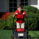 Lawn mow boy