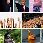raise your hand if...