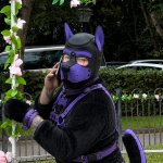 Fruity Boy - Furry Edition