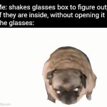 ... | Me: shakes glasses box to figure out,
 if they are inside, without opening it
The glasses: | image tagged in gifs,glasses,box,shake,pug,dance | made w/ Imgflip video-to-gif maker