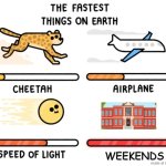 fastest thing alive | weekends | image tagged in the fastest things on earth | made w/ Imgflip meme maker