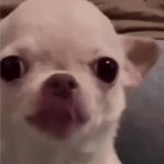 I swear… | When the teacher dares to look away from the class | image tagged in gifs,school | made w/ Imgflip video-to-gif maker