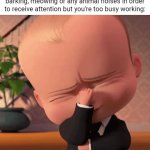 The pet | That moment when your pet is making barking, meowing or any animal noises in order to receive attention but you're too busy working: | image tagged in gifs,pet,animals,animal,blank white template,memes | made w/ Imgflip video-to-gif maker