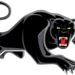 Panthers nrl