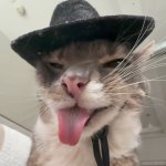 Freaky as cat