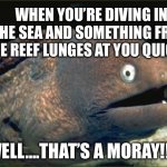 Moray Eel Meme Bad Joke | When you’re diving in the sea and something from the reef lunges at you quickly; Well….That’s a moray!!!! | image tagged in moray eel meme bad joke | made w/ Imgflip meme maker