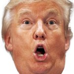 Trump head