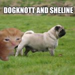 The boys s5ep7 | dogknott and sheline | image tagged in pug sniffing pug's butt,the boys | made w/ Imgflip meme maker