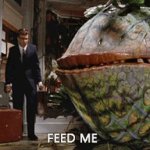 feed me