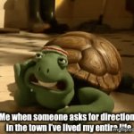 Cool title 1 | Me when someone asks for directions in the town I’ve lived my entire life | image tagged in gifs,turtle,directions | made w/ Imgflip video-to-gif maker