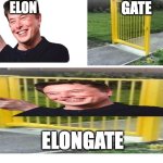 That is a very elongated gate | elon; gate; elongate | image tagged in blank white template,elon musk,gate,bad pun | made w/ Imgflip meme maker