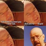 Breaking Bad And you're stupid