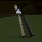 Kowalski driving invisible car GIF Template