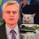 Bill Cassidy and Smudge template