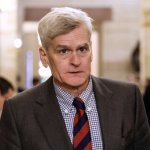 Bill Cassidy template