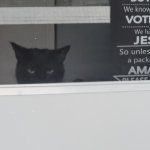 Damn Jehovahs