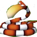 Snake
