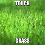 Touch Grass please <3 | Touch; Grass | image tagged in grass is greener | made w/ Imgflip meme maker