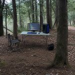 new spot