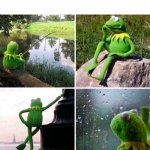 Contemplative Kermit