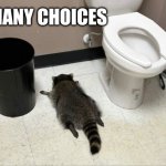 Life is a drunk raccoon | So many choices | image tagged in drunk raccoon,memes,opportunity knocks,everything is great,move along nothing to see here,bathroom wisdom | made w/ Imgflip meme maker