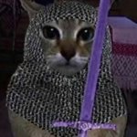 gato templario