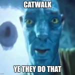 Blue avatar meme | Catwalk; ye they do that | image tagged in blue avatar meme | made w/ Imgflip meme maker