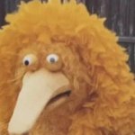 Definitely not Big Bird