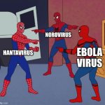 2026 is the opposite 2016 bro... | Norovirus; Hantavirus; Ebola virus | image tagged in spider man triple,2026,cooked | made w/ Imgflip meme maker