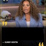 sunny hostin template
