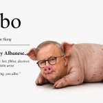 albo - liar liar pants on fire