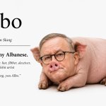 Albo - liar liar pants on fire
