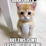 sad | sorry guys; but this is my last img flip meme | image tagged in memes,cute cat,sad,funny,super sad,bruh | made w/ Imgflip meme maker