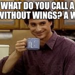 Real knee slapper | What do you call a fly without wings? A walk | image tagged in dad joke | made w/ Imgflip meme maker