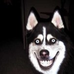 Cute husky template