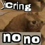 No No shcring