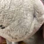 Wavio's Eeyore meme