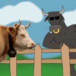 The bull and the cow