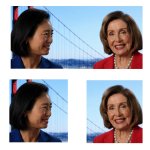 pelosi quit