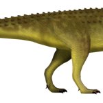 Majungasaurus